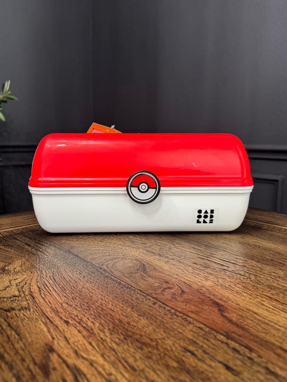 Pokemon x Target Caboodle Case collector LARGE